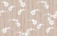 Origins wallpaper. Gladiolus