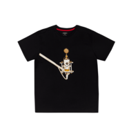 The Voice of Common Sense t-shirt