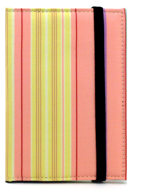 Color stripes passport cover