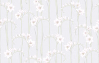 Origins wallpaper. Gladiolus