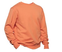 Classic sweatshirt