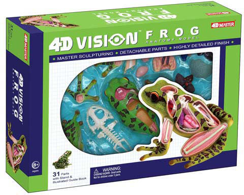 4D-puzzle Frog