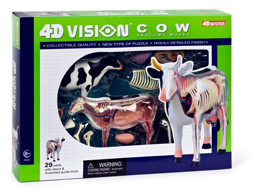 29 pieces 3D Cow Details about   *NEW* 4D Master Bitz Anatomy Series Puzzle