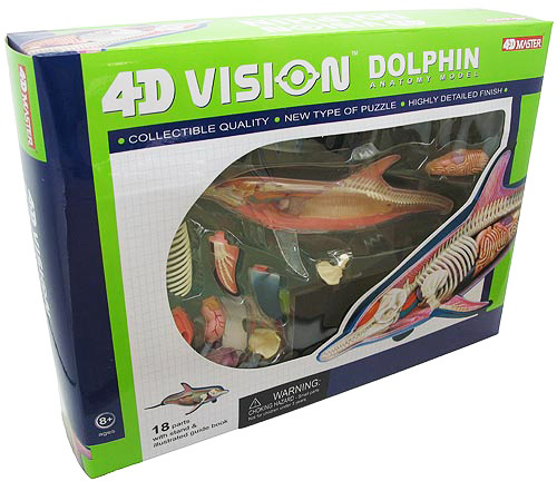 4D-puzzle Dolphin