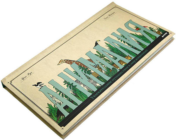  Copy Copy Copy Copy Copy Copy Copy Copy